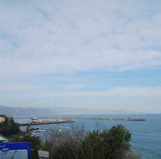 Özcan