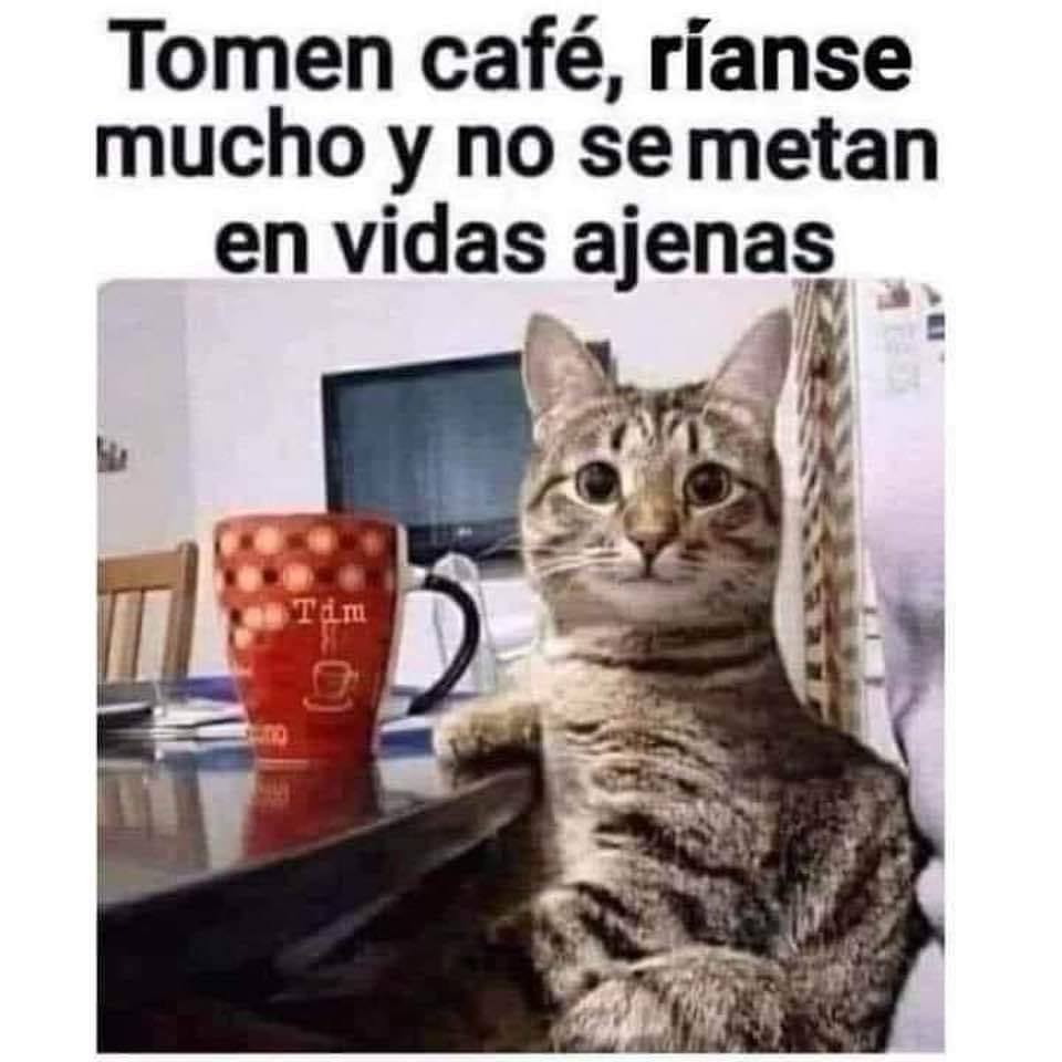 Yola