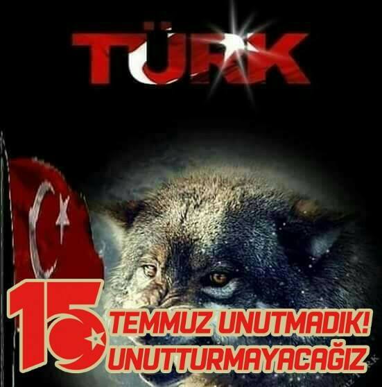 Yavuz