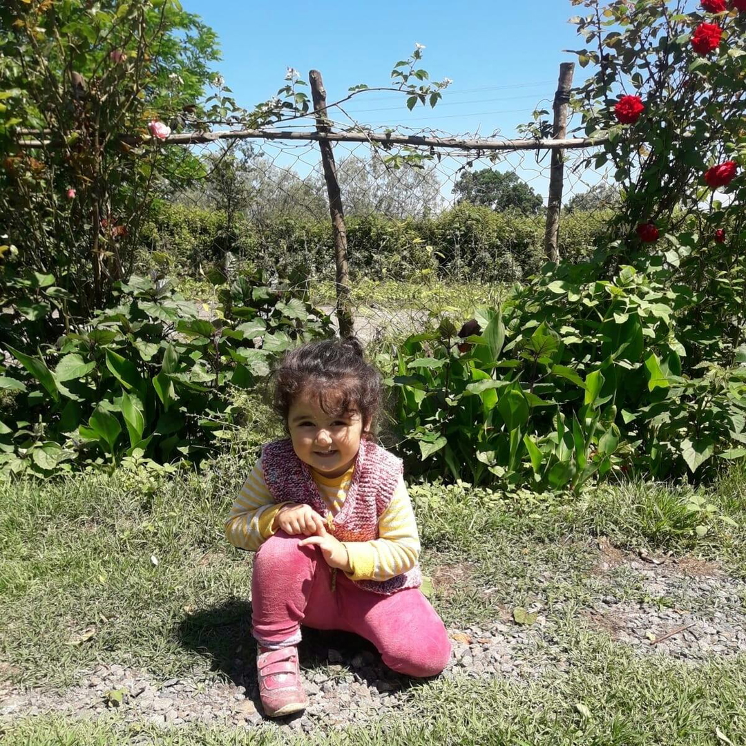 Sedaa