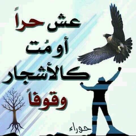 احمد
