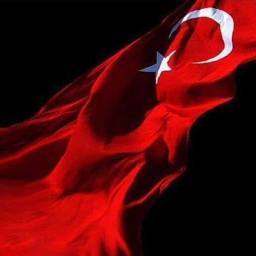 Caner