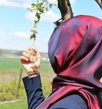 Hande