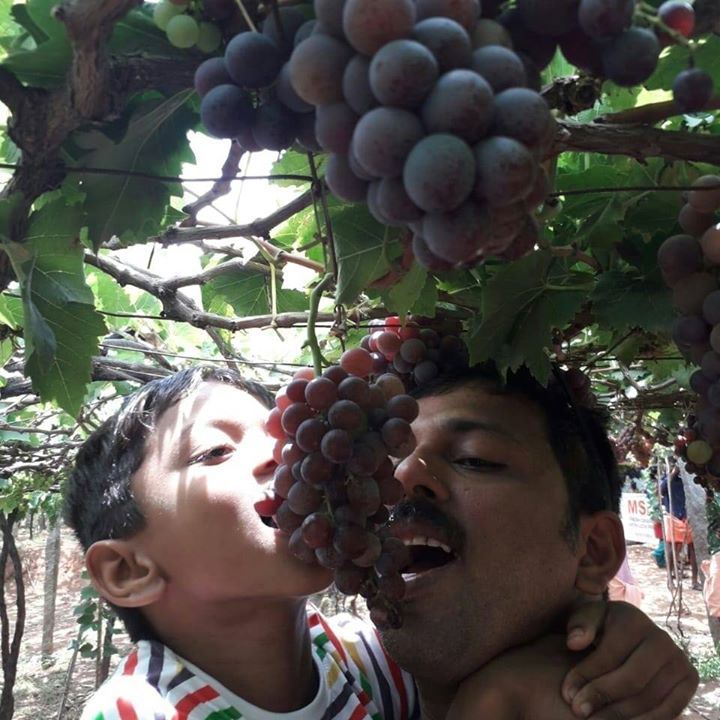Sudheesh