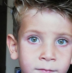 Mahmut