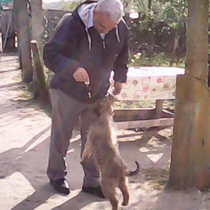 Levent