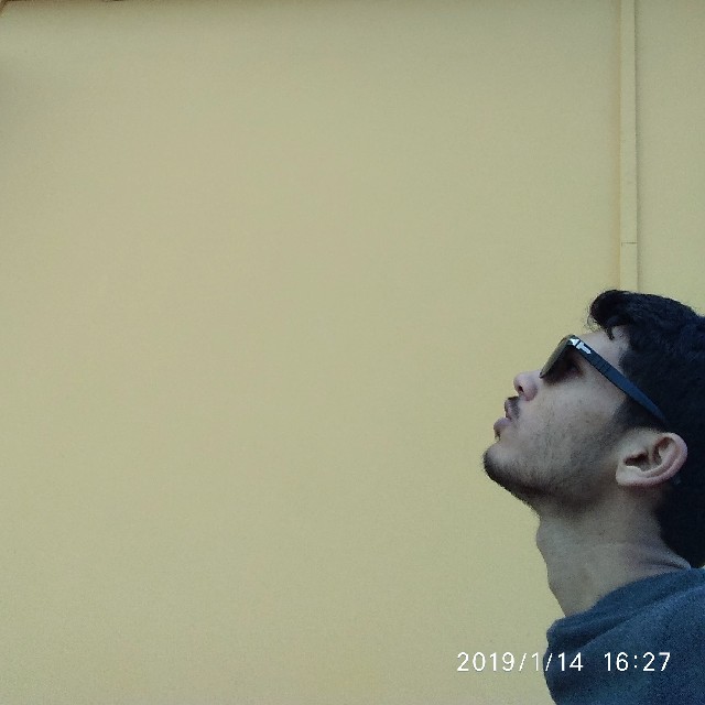 Avneesh