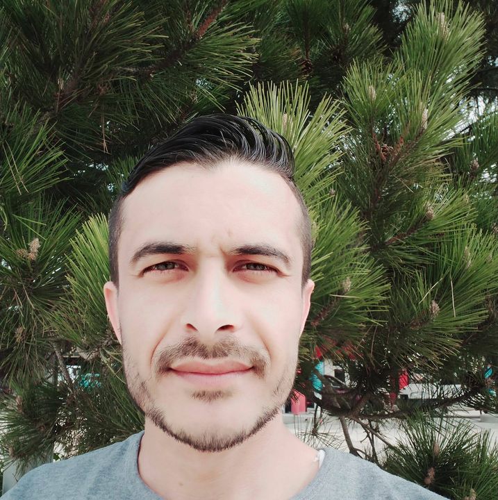 Ali
