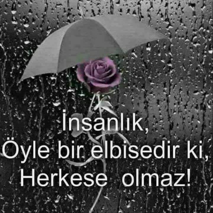 Selim