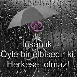 Selim