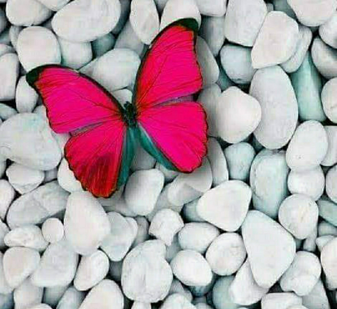 Meral