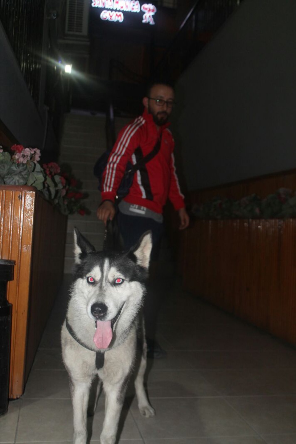 Fatih