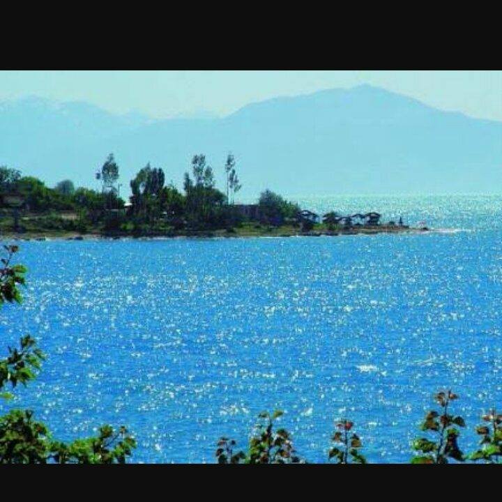 Orhan