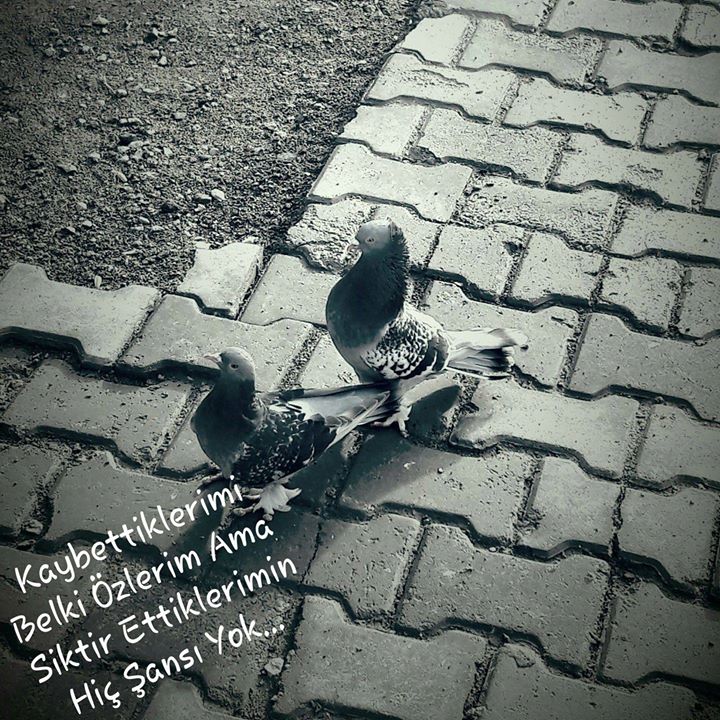 Kubilay