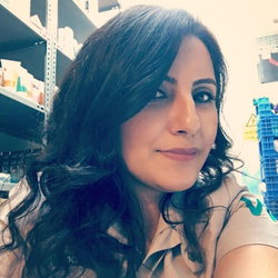 Gülüzar