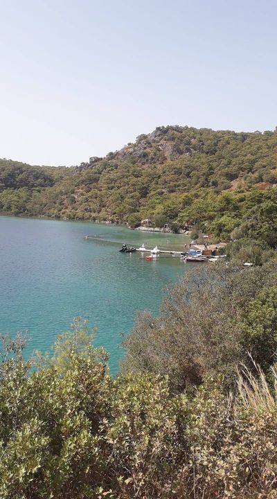 Gazi