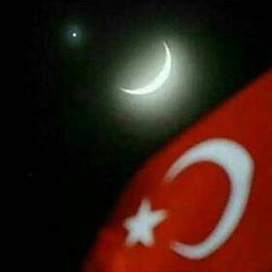 Şahin