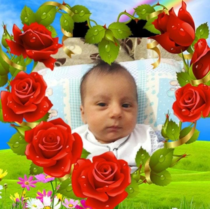 Veysi