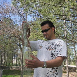 Ayhan