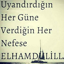 Hande