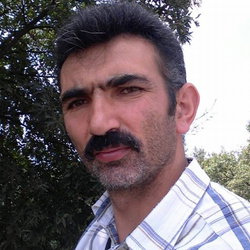 Murat