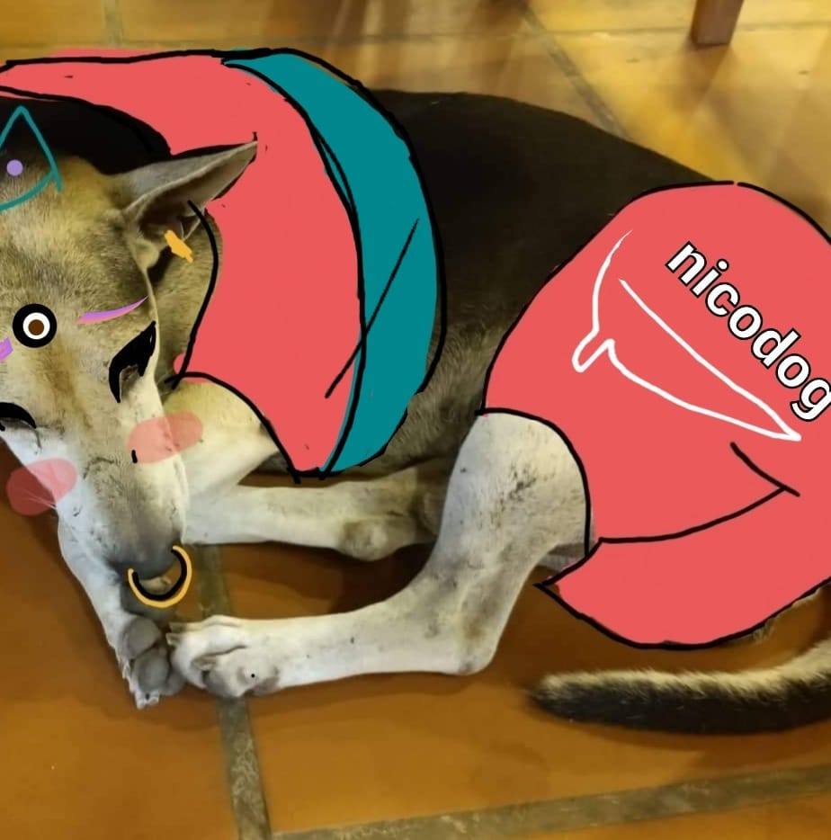 NHi