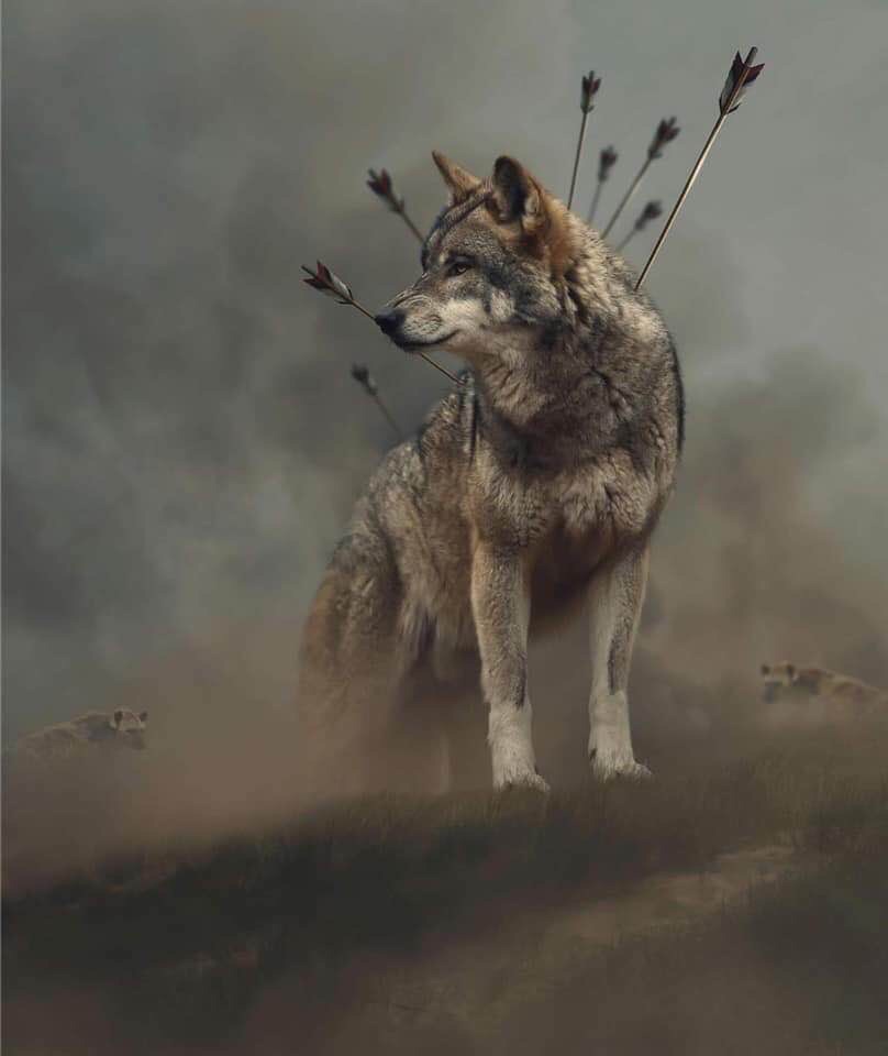 Sertaç
