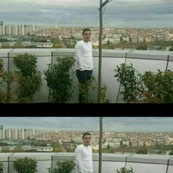 Murat