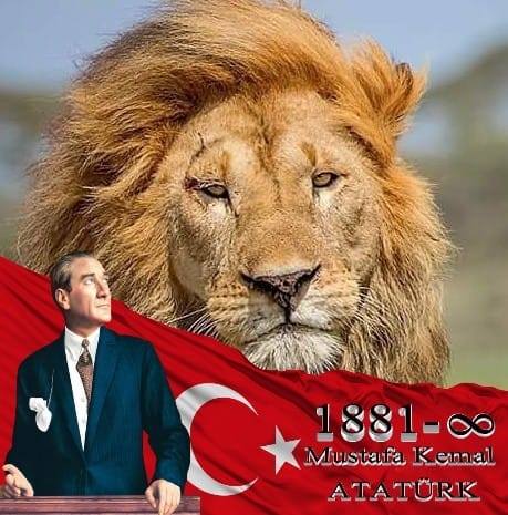 Seydi