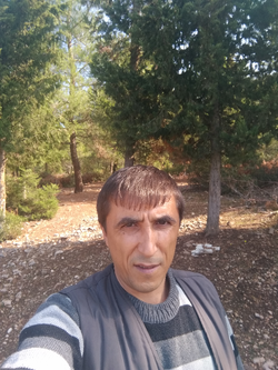 İsmail