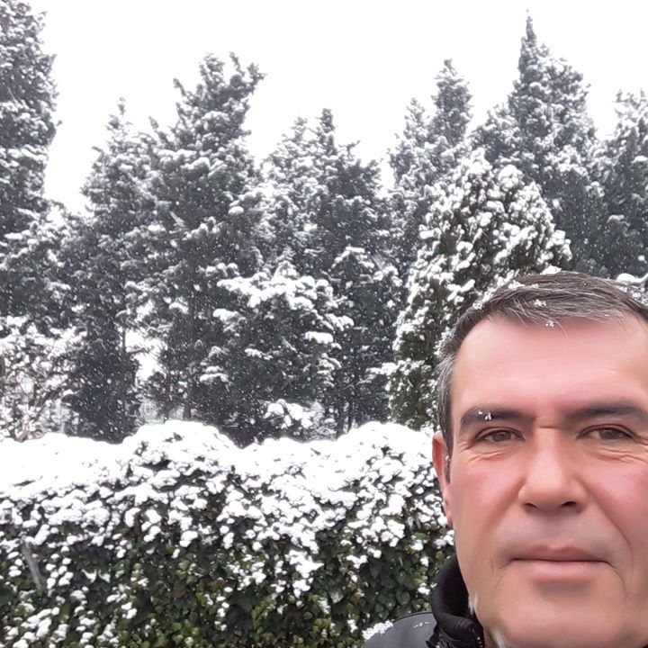 Halil