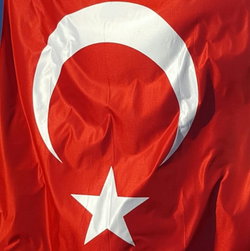 Caner