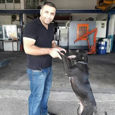 Salih