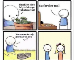 Safa