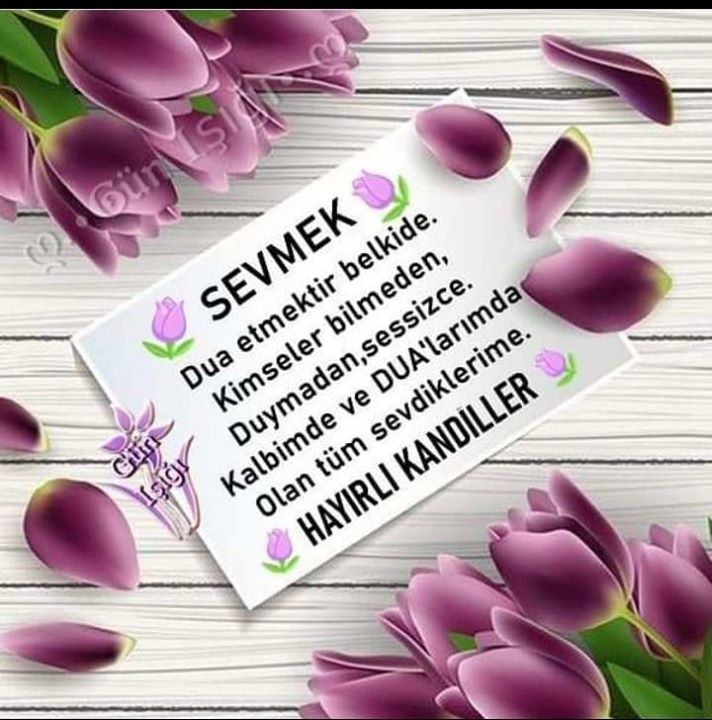 Sedagül