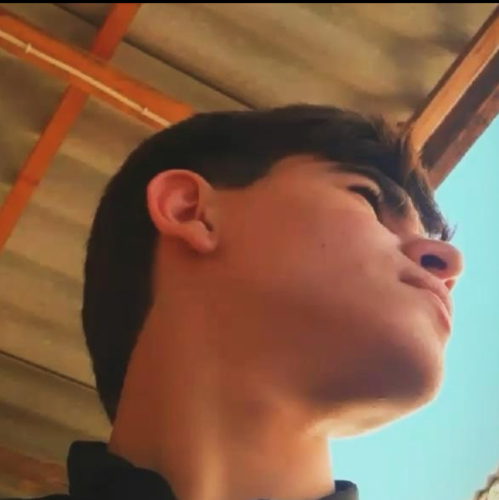 Punhan