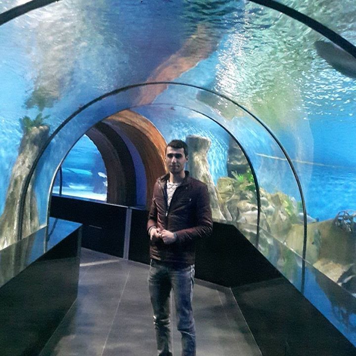 Cihat
