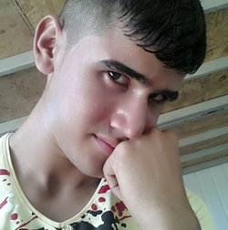 Nawed
