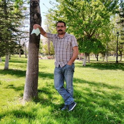 Harun