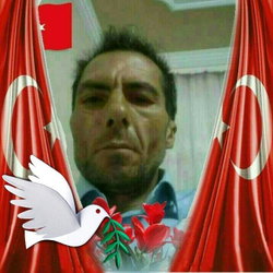 Halil