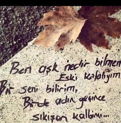 Olgun