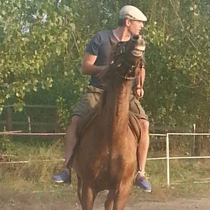 Mehmet