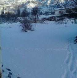 Emre