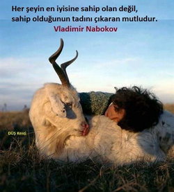 Umut