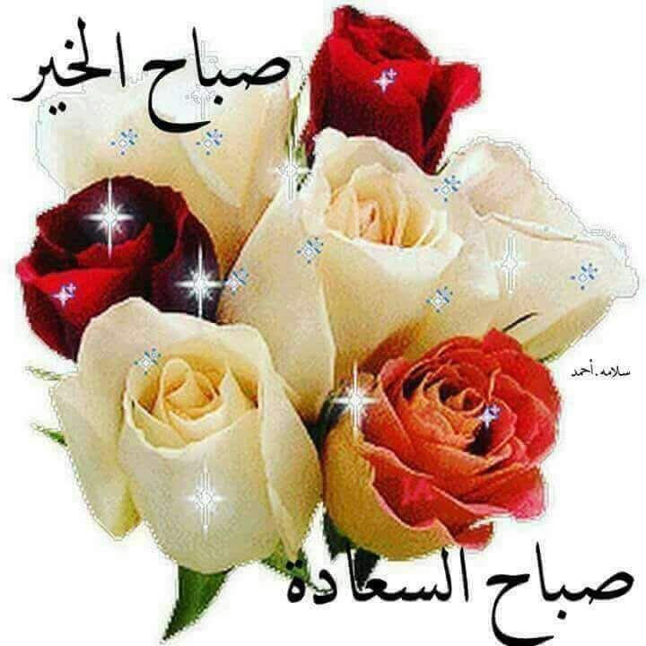 Abo