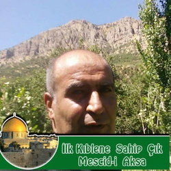 Şahin