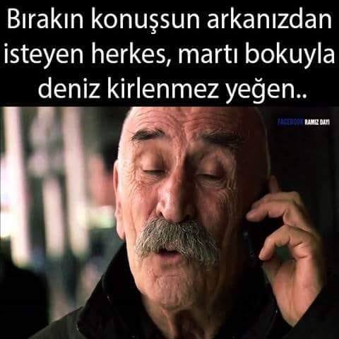 Hayaller