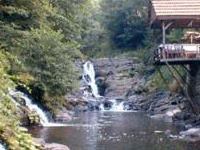 Burak