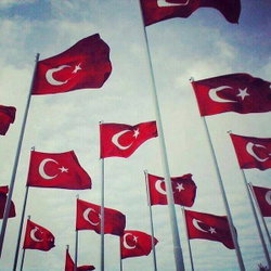 Murat