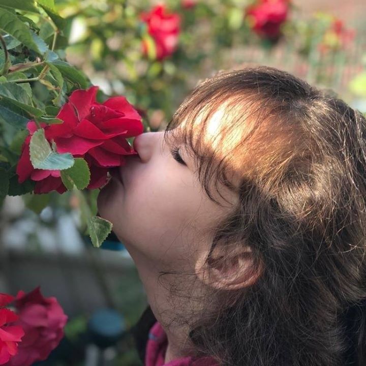 Ayşe
